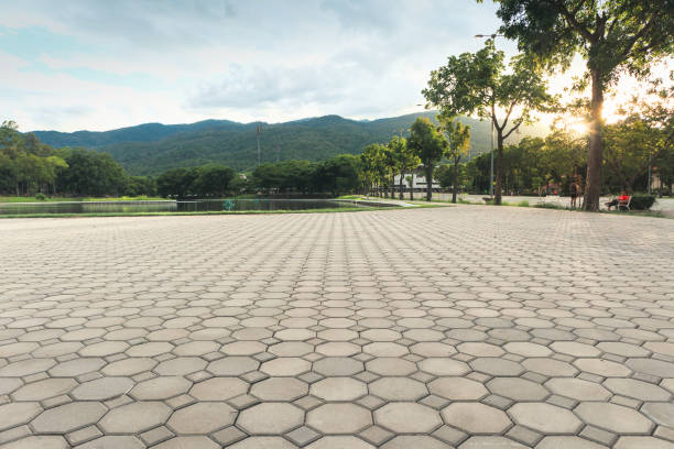 Best Custom Driveway Pavers  in Cleveland, TX