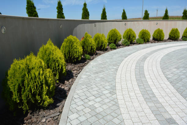 Best Brick Driveway Pavers  in Cleveland, TX